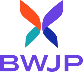 Battered Womens Justice Project